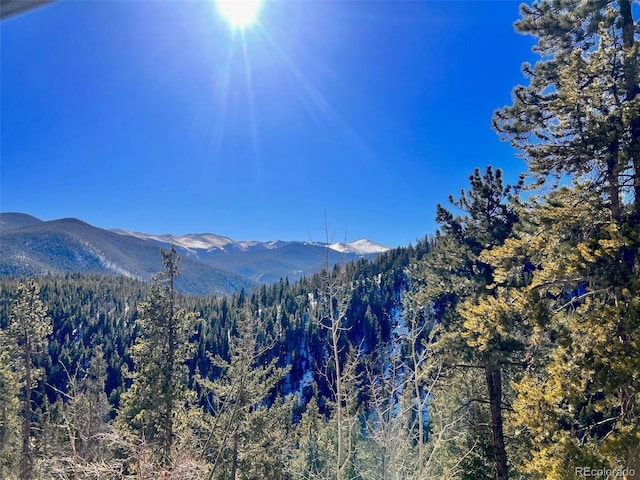 0 Ute Creek Rd, Idaho Springs CO, 80452 land for sale