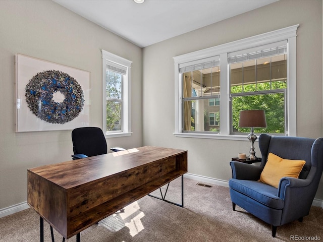 8012 E 50th Dr, Denver, CO 80238 - home office with carpet flooring and baseboards