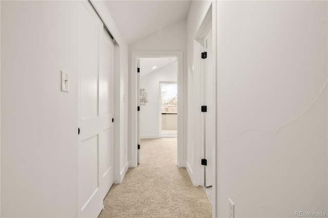 1344 N Knox Ct, Denver, CO 80204 - hall with light carpet and vaulted ceiling