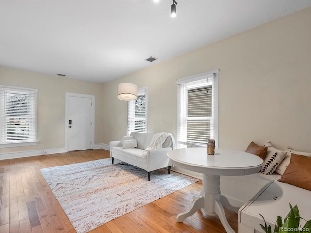 living room featuring a healthy amount of sunlight and light wood-type flooring