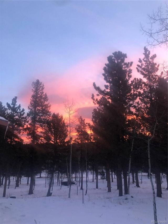 view of snow covered land