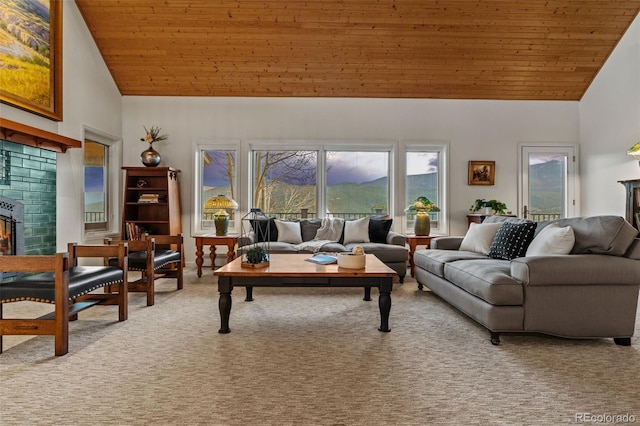 830 Jesse Ln, Bailey, CO 80421 - photo 17