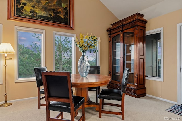 830 Jesse Ln, Bailey, CO 80421 - photo 18