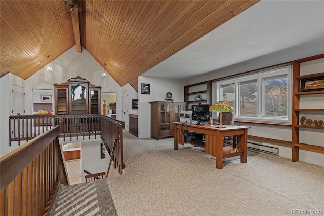 830 Jesse Ln, Bailey, CO 80421 - photo 27