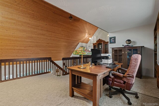 830 Jesse Ln, Bailey, CO 80421 - photo 28