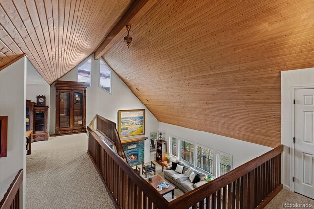 830 Jesse Ln, Bailey, CO 80421 - photo 29