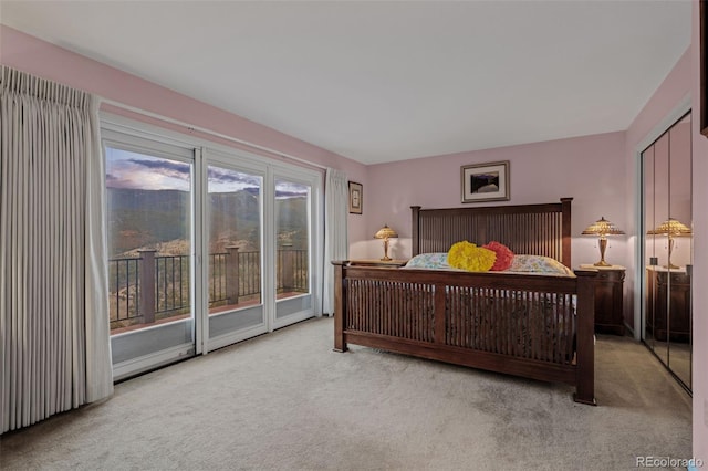 830 Jesse Ln, Bailey, CO 80421 - photo 34