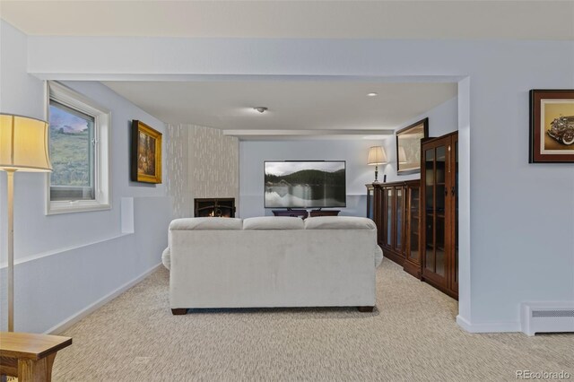 830 Jesse Ln, Bailey, CO 80421 - photo 36