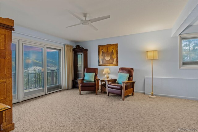 830 Jesse Ln, Bailey, CO 80421 - photo 37