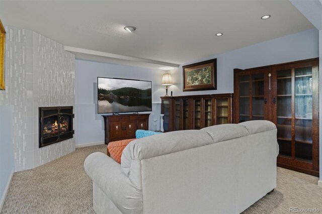 830 Jesse Ln, Bailey, CO 80421 - photo 39