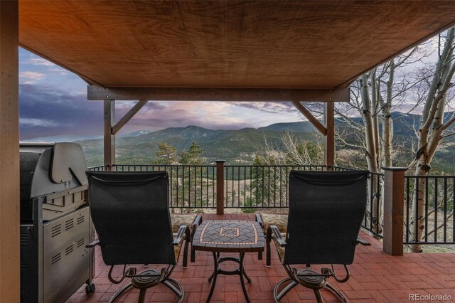830 Jesse Ln, Bailey, CO 80421 - photo 41
