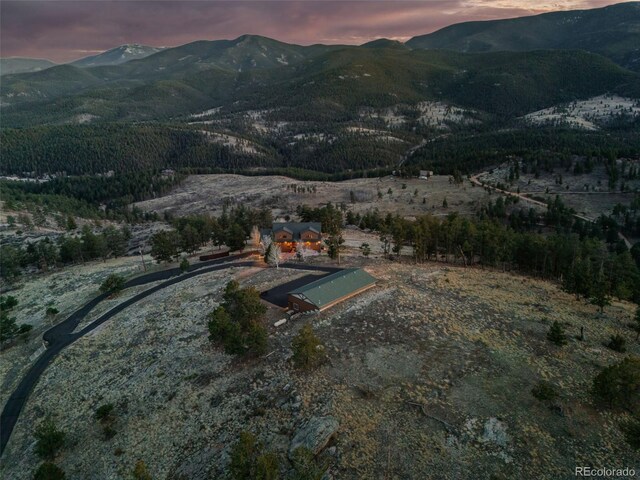 830 Jesse Ln, Bailey, CO 80421 - photo 4