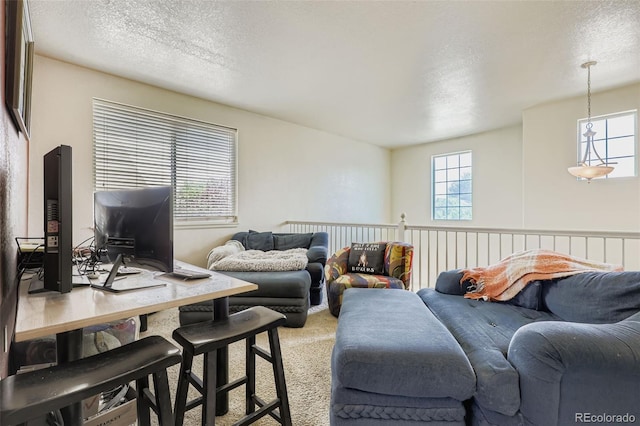 11463 Kenton St, Commerce City, CO 80640 - photo 21