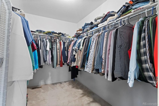 6454 Leathers Ln, Parker, CO 80134 - spacious closet featuring carpet floors
