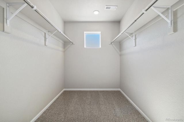 walk in closet featuring carpet flooring