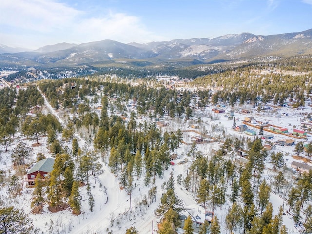 395 Jones Rd, Bailey, CO 80421