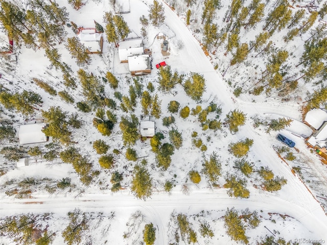 395 Jones Rd, Bailey, CO 80421