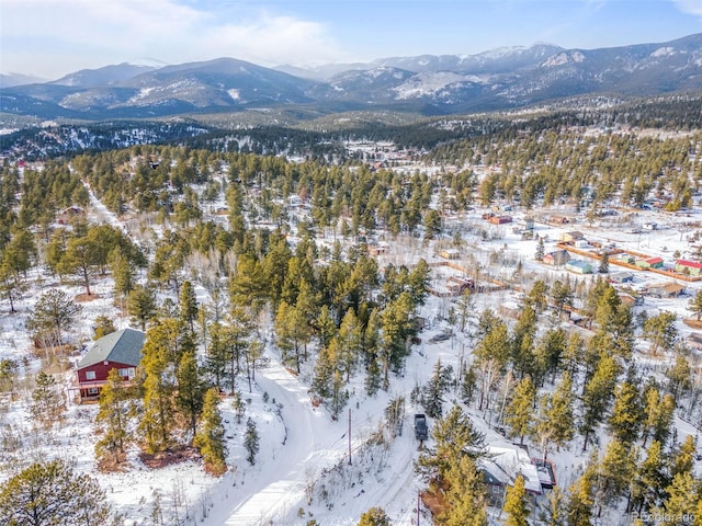 395 Jones Rd, Bailey, CO 80421