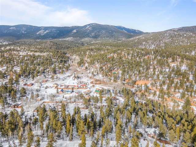 395 Jones Rd, Bailey, CO 80421
