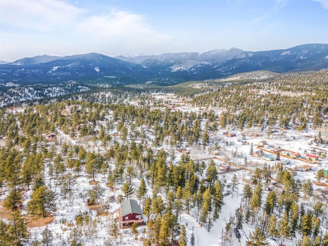395 Jones Rd, Bailey, CO 80421