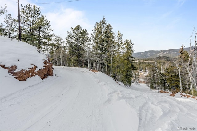 395 Jones Rd, Bailey, CO 80421