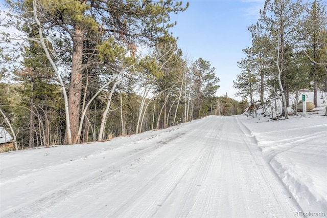 395 Jones Rd, Bailey, CO 80421