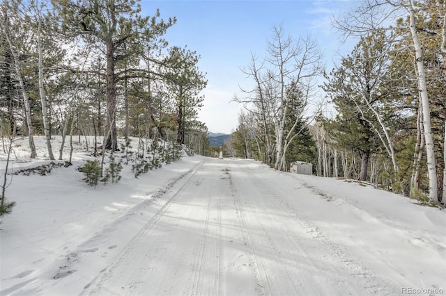 395 Jones Rd, Bailey, CO 80421
