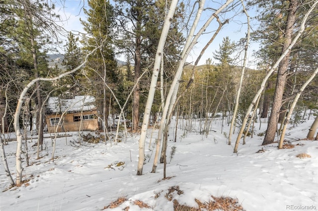 395 Jones Rd, Bailey, CO 80421