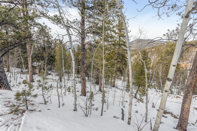 395 Jones Rd, Bailey, CO 80421