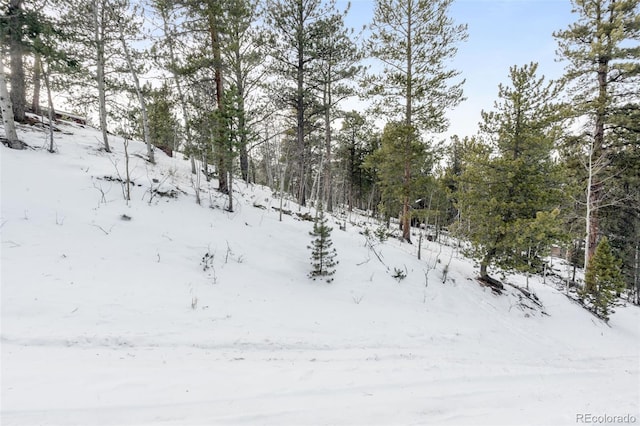 395 Jones Rd, Bailey, CO 80421