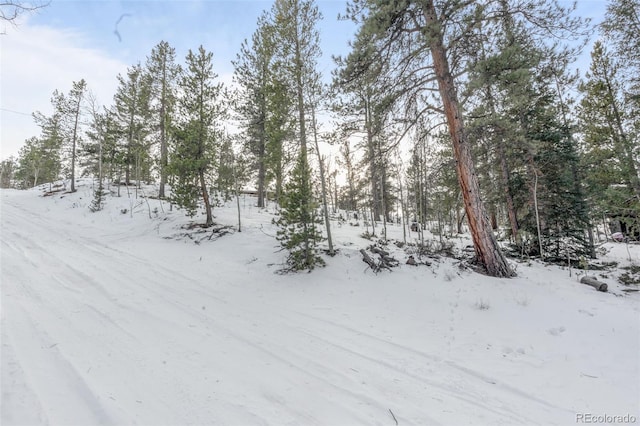 395 Jones Rd, Bailey, CO 80421