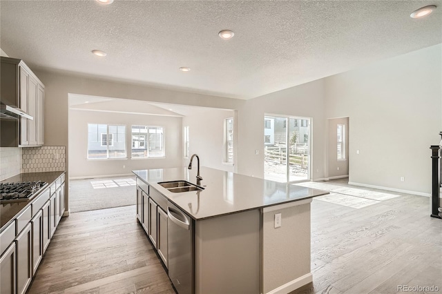 kitchen featuring sink, light hardwood / wood-style floors, a center island with sink, and appliances with stainless steel finishes