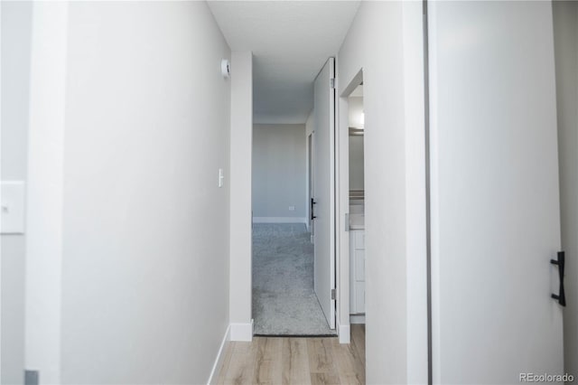 9155 E Center Ave Unit 4B, Denver, CO 80247 - hallway with light wood-style floors and baseboards