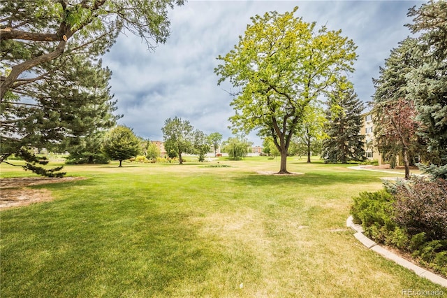 9155 E Center Ave Unit 4B, Denver, CO 80247 - view of community featuring a lawn