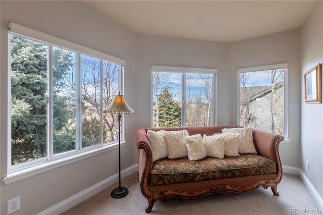 living area with carpet and a wealth of natural light