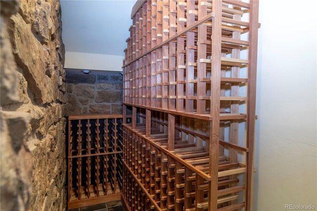 2675 Timberchase Trl, Highlands Ranch, CO 80126 - view of wine area