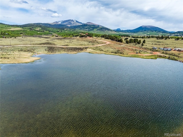 514 Little Baldy Cir, Fairplay, CO 80440