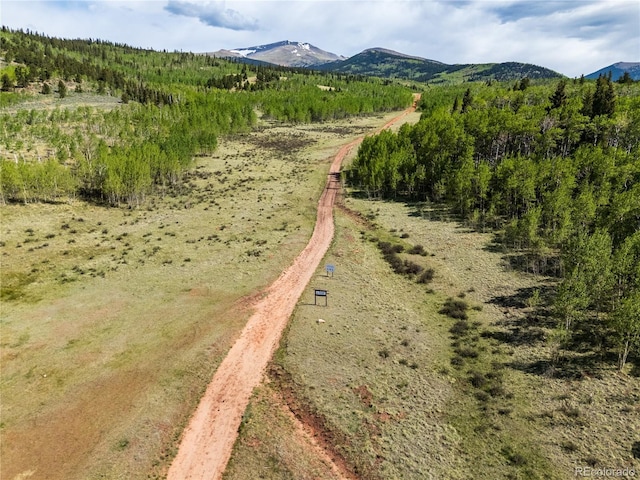 514 Little Baldy Cir, Fairplay, CO 80440