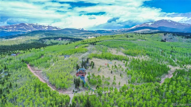 514 Little Baldy Cir, Fairplay, CO 80440