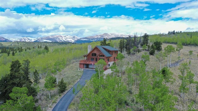 514 Little Baldy Cir, Fairplay, CO 80440