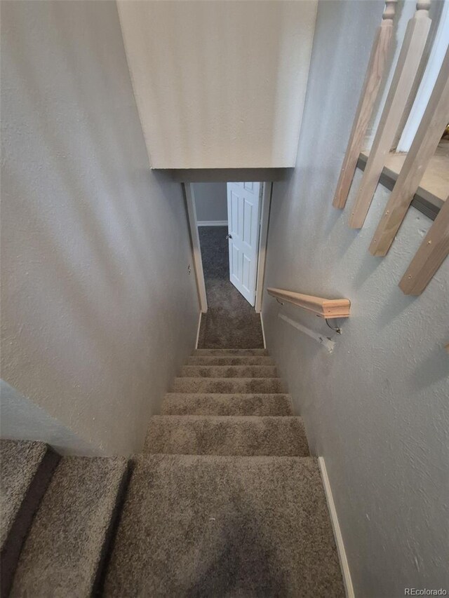 2758 S Salida St, Aurora, CO 80013 - staircase featuring baseboards and carpet floors