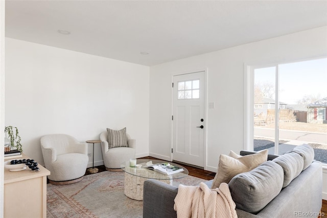 living room featuring wood-type flooring