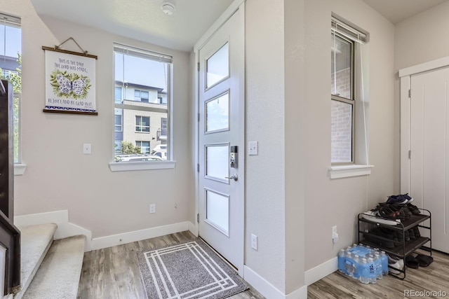 entrance foyer with wood-type flooring and a wealth of natural light