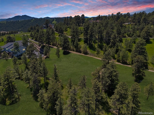 298 Parkview Ave, Golden, CO 80401 - photo 24