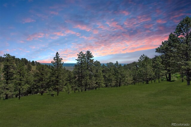298 Parkview Ave, Golden, CO 80401 - photo 25