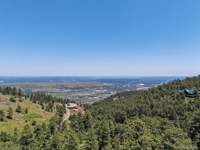 298 Parkview Ave, Golden, CO 80401 - photo 2