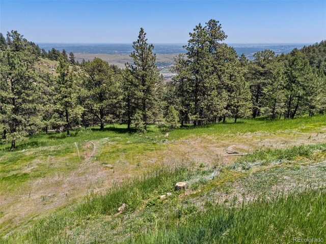 298 Parkview Ave, Golden, CO 80401 - photo 3
