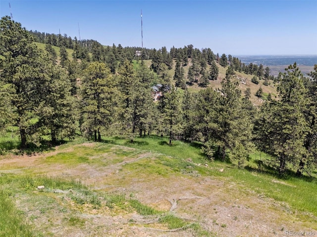 298 Parkview Ave, Golden, CO 80401 - photo 5