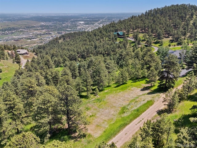 298 Parkview Ave, Golden, CO 80401 - photo 6