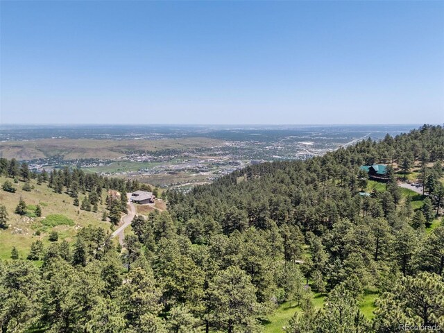 298 Parkview Ave, Golden, CO 80401 - photo 7